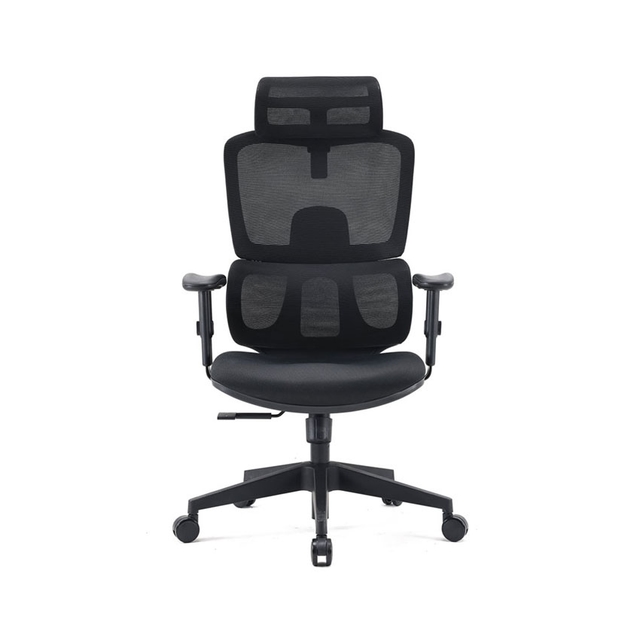 Ghế Công Thái Học SIHOO M105C-101 Black