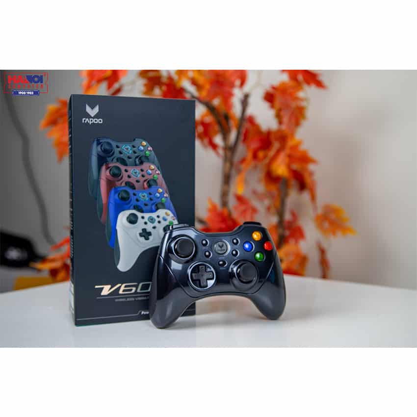 46217_tay_game_khong_day_rapoo_v600s_mau_den_1.jpg