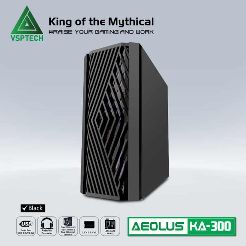 75659_v____case_vsp_ka_300___en__2_.jpg