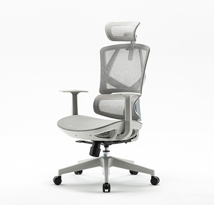 64497_ghe_cong_thai_hoc_ergonomic_sihoo_m91c_201_1.jpg