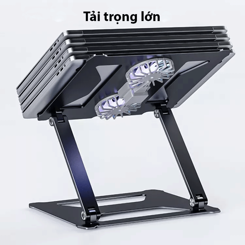 68958_boneruy_p18f_2.png
