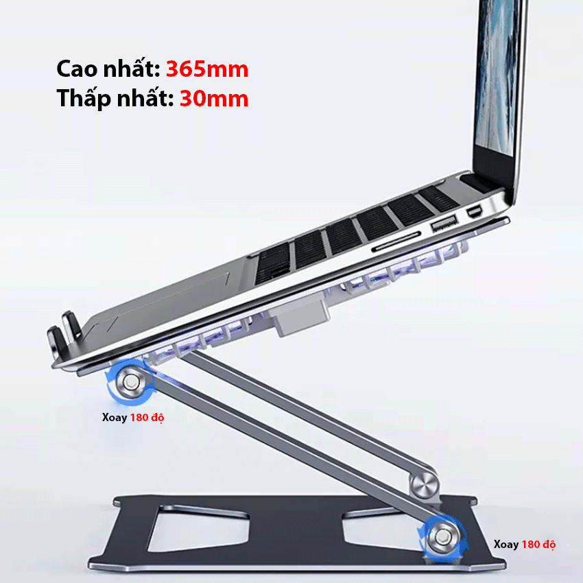 68958_boneruy_p18f_3.png