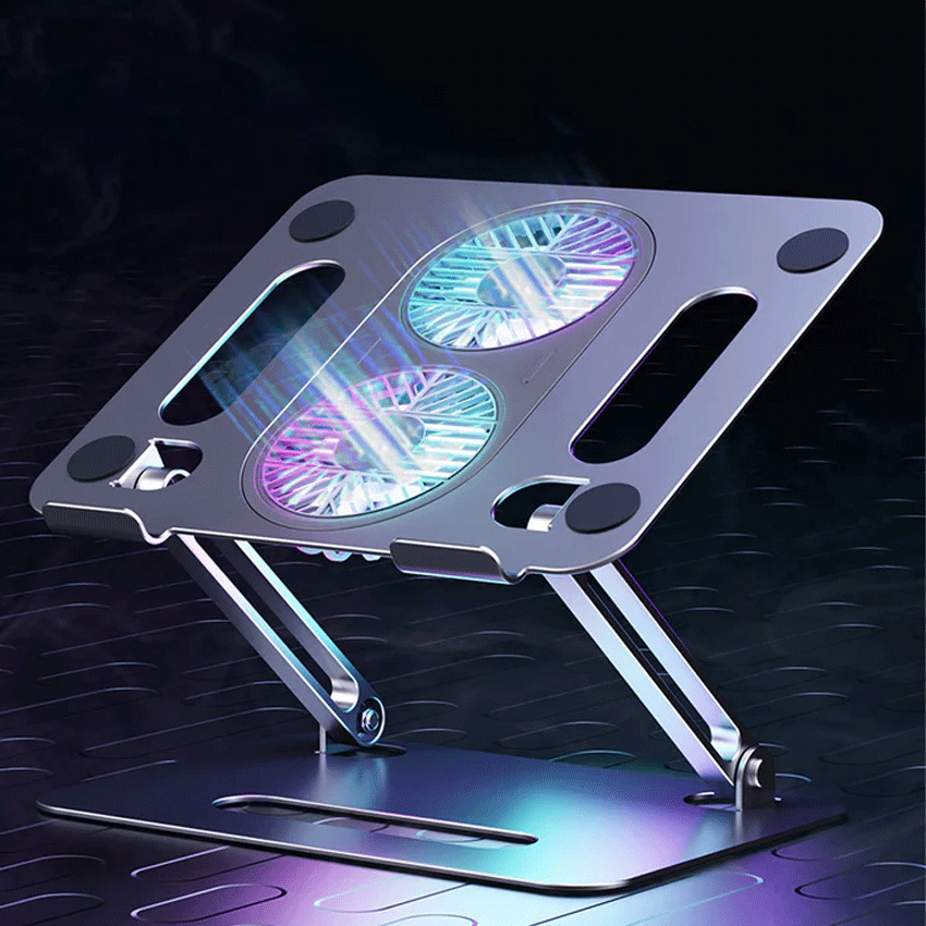 68959_boneruy_p43f_2.png