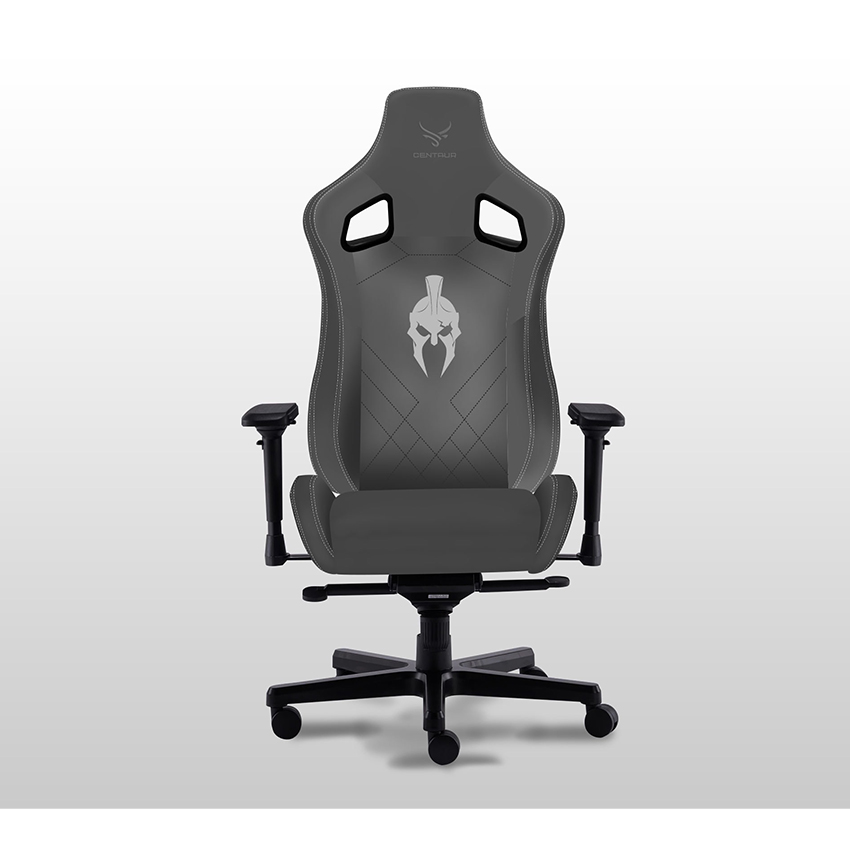 69062_ghe_game_centaur_akali_gray_001.jpg