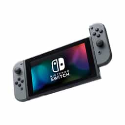 71438_may_choi_game_nintendo_switch_gray_v2_0000_1.jpg