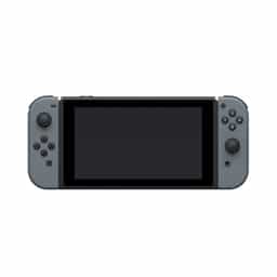 71438_may_choi_game_nintendo_switch_gray_v2_0003_4.jpg