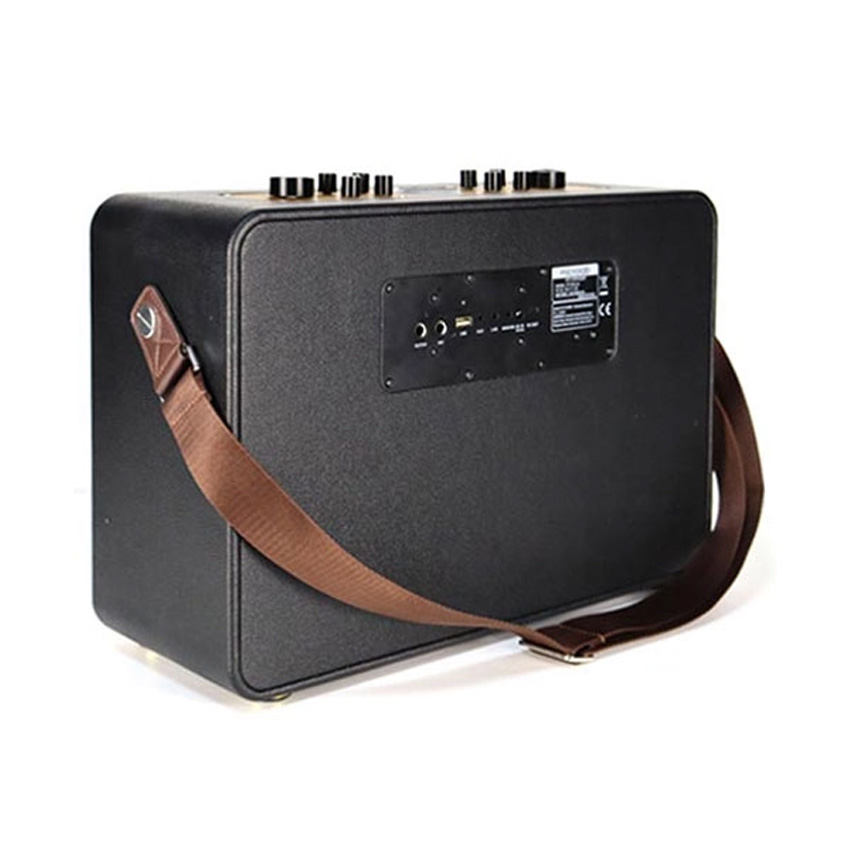 81592_loa_microlab_ktv200_pro_1.jpg