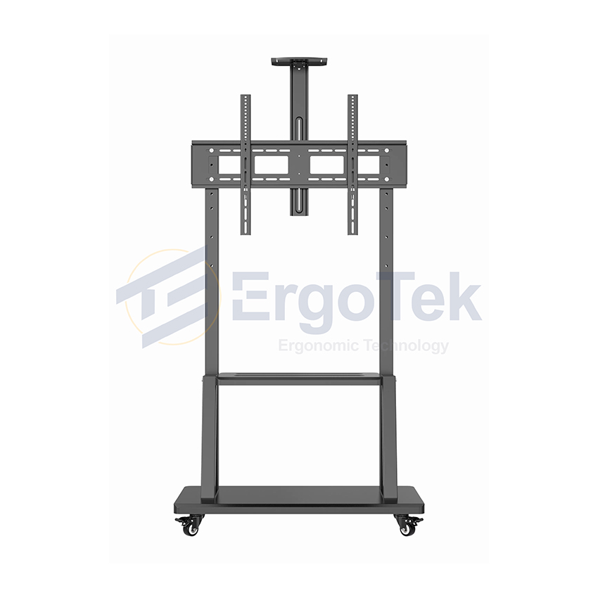 89540_gia_treo_tivi_di_dong_ergotek_e2500_1.jpg