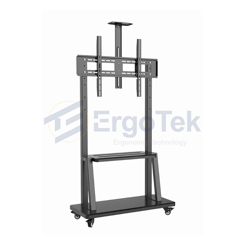 89540_gia_treo_tivi_di_dong_ergotek_e2500_2.jpg