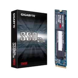 52827_ssd_gigabyte_256gb_m_2_2280_pcie_nvme.jpg