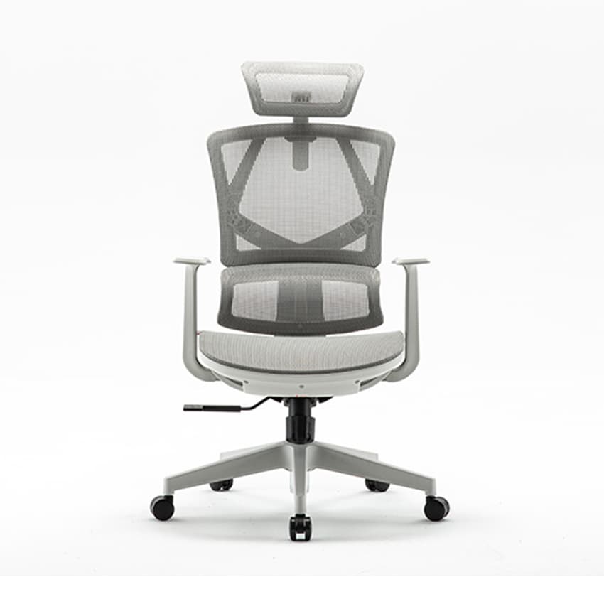 Ghế Công Thái Học Ergonomic Sihoo M91C-201