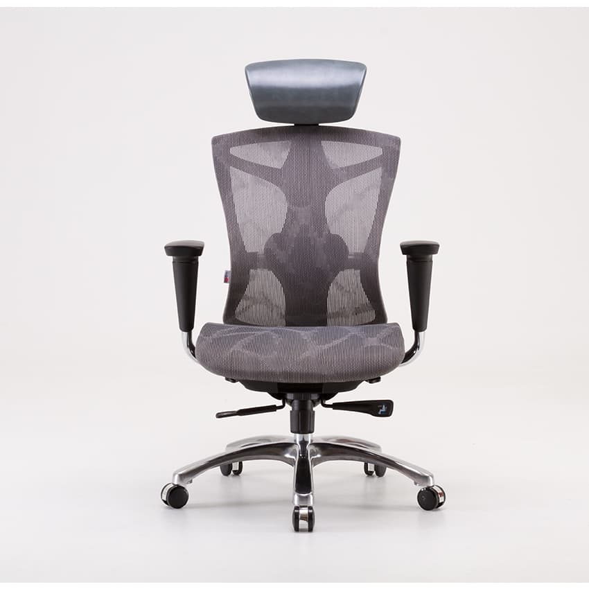 Ghế công thái học Sihoo V1-N102