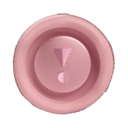 71409_loa_di_dong_jbl_flip_6_mau_hong_2.jpg