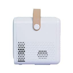 80454_may_chieu_mini_beecube_x2_max_gen_4_3.jpg