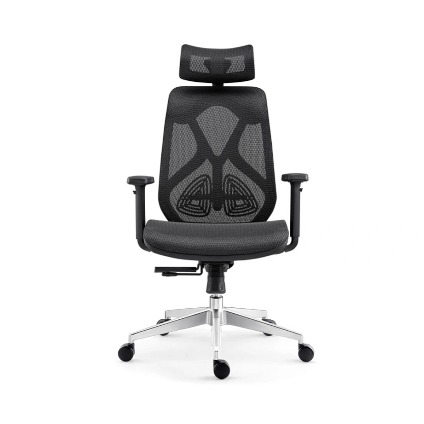 Ghế Công Thái Học Ergonomic HBADA 09 - Cũ xước