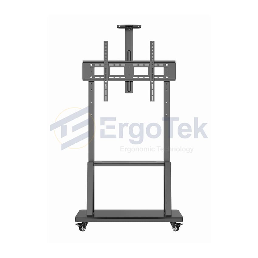 89540_gia_treo_tivi_di_dong_ergotek_e2500_1.jpg main