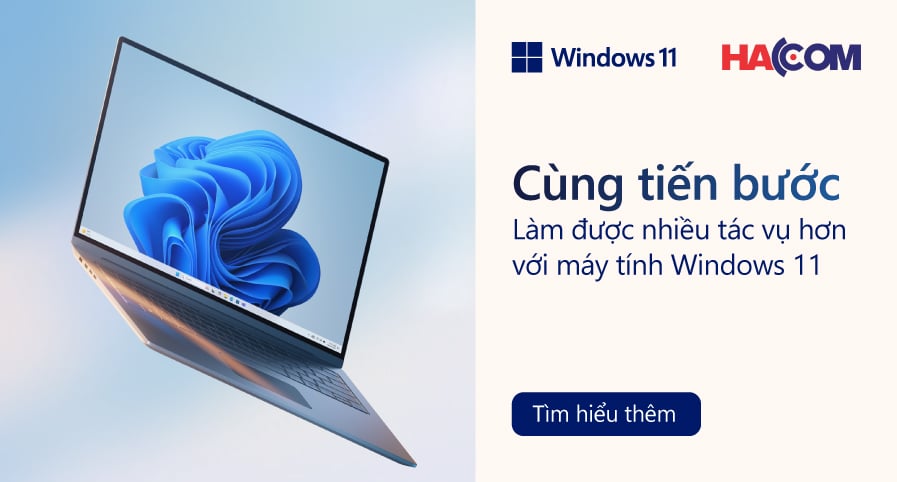 Windows 11